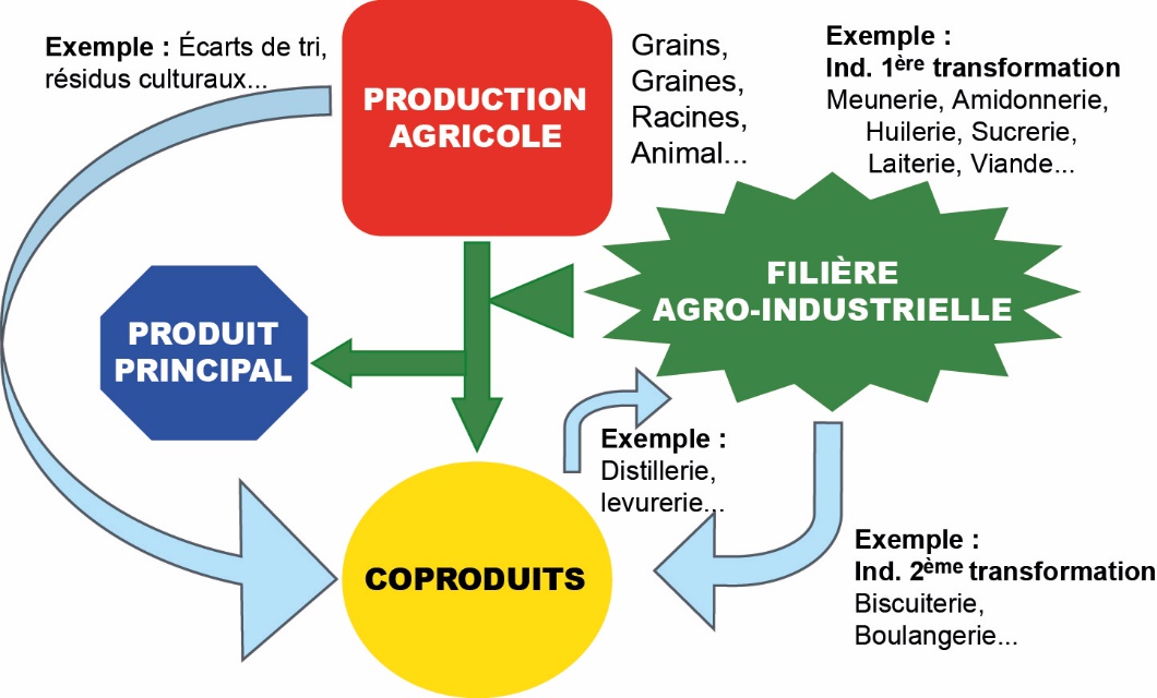 Exemple De Politique Qualité Dune Entreprise Agroalimentaire