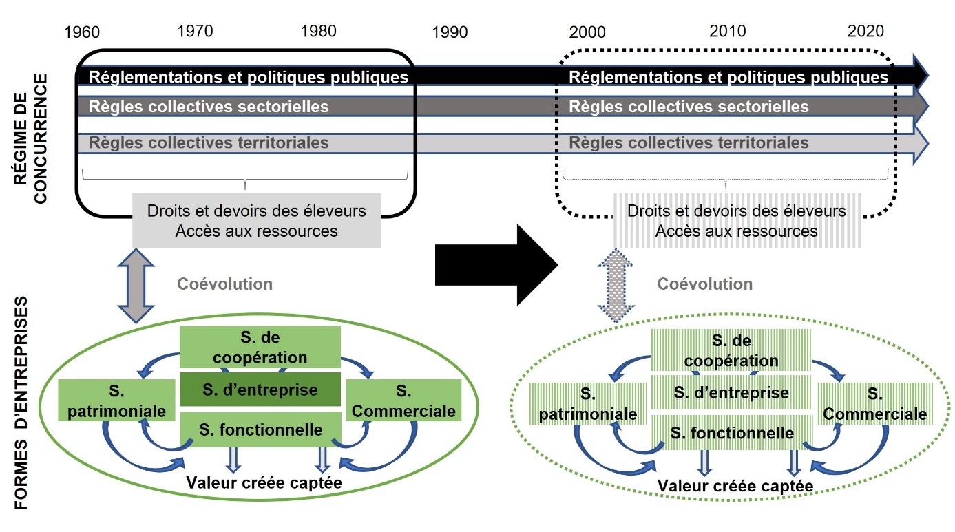 Figure 1. Cadre d’analyse de la coévolution entre systèmes d’élevage et dynamiques sectorielles. Une image contenant texte, diagramme, capture d’écran, Police Le contenu généré par l’IA peut être incorrect.