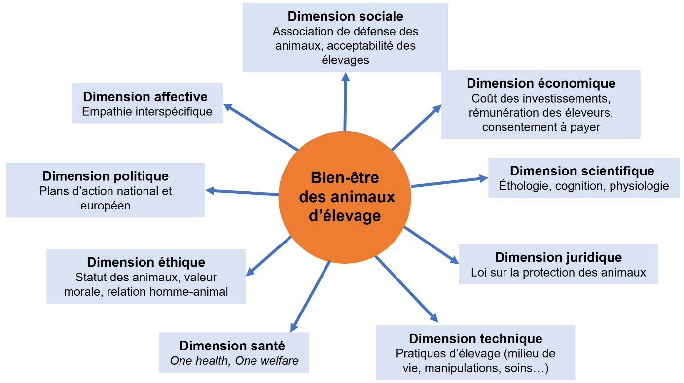 Figure 1. Les dimensions impliquées dans la notion de bien-être des animaux en élevage.