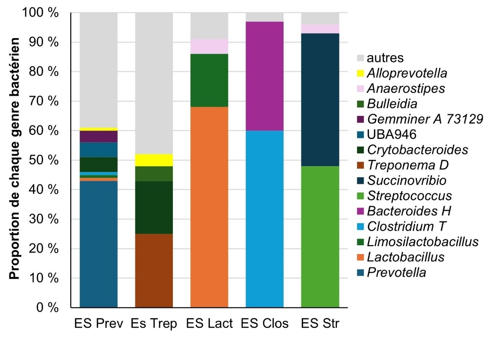 Une image contenant texte, capture d’écran, Caractère coloré, graphisme Le contenu généré par l’IA peut être incorrect.