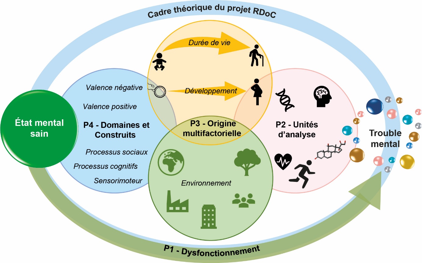Figure 4. Représentation schématique du cadre théorique du projet RDoC, Research Domain Of Criteria, adapté de https://www.nimh.nih.gov/research/research-funded-by-nimh/rdoc .