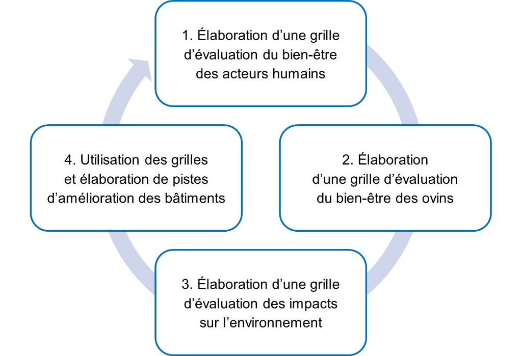 Figure 7. Phases d’une stratégie pédagogique en lycée agricole centrée sur l’évaluation du One Welfare pour de futurs conseillers en élevage invités à s’inscrire dans une approche interdisciplinaire.