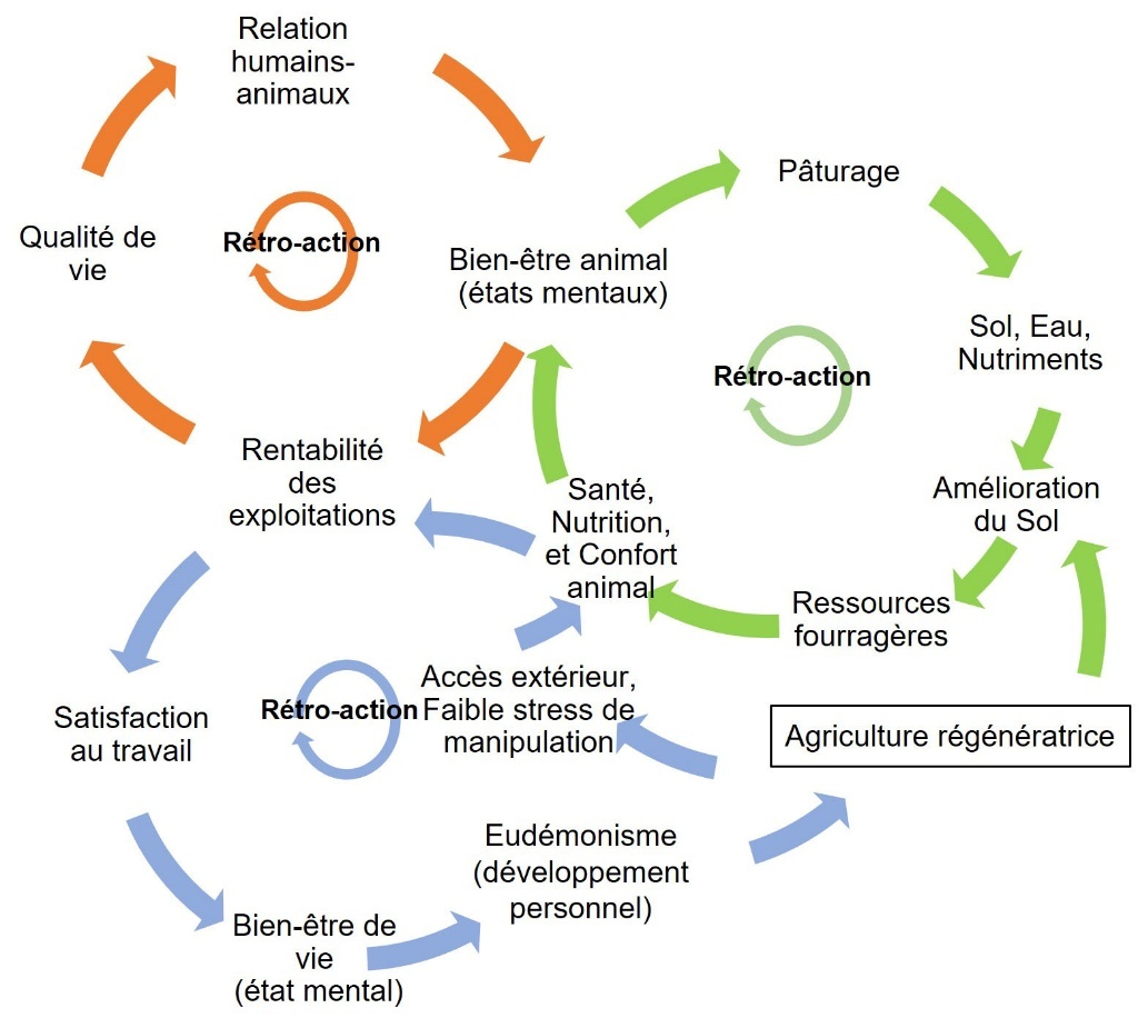 Figure 2. Modélisation d’un One Welfare autour de l’agriculture de conservation des sols ou régénératrice inspirée du modèle d’Hargreaves-Méndez et Hötzel (2023).