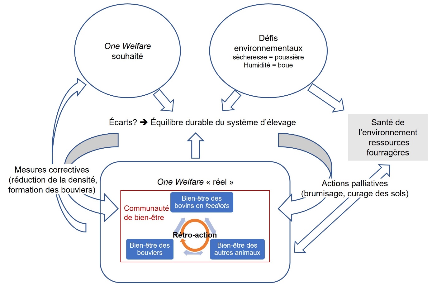 Figure 3. Modélisation inspirée et simplifiée du modèle One Welfare de Costa et al. (2023) appliqué aux feedlots sud-américains dans une visée de gestion durable.