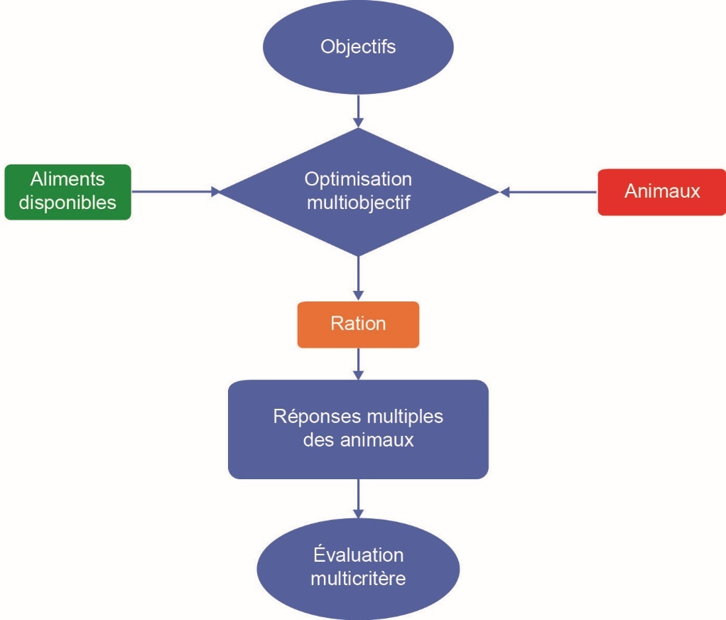 Une image contenant texte, capture d’écran, Police, diagramme Le contenu généré par l’IA peut être incorrect.