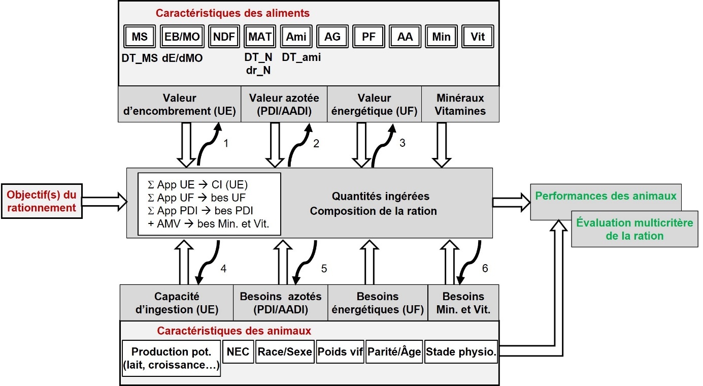 Une image contenant texte, capture d’écran, Police, diagramme Le contenu généré par l’IA peut être incorrect.