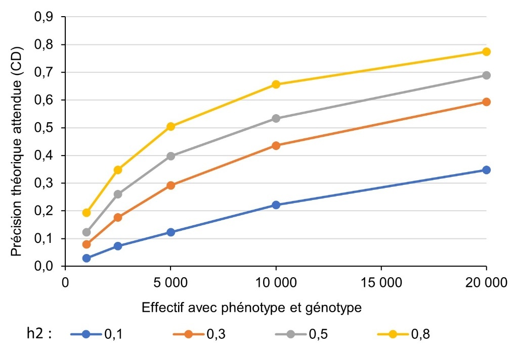 Figure 2. Précision (coefficient de détermination) de l’évaluation génomique en fonction de la taille de population de référence et de l’héritabilité du prédicteur.